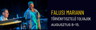 Falusi Mariann – Törvénytisztelő tolvajok